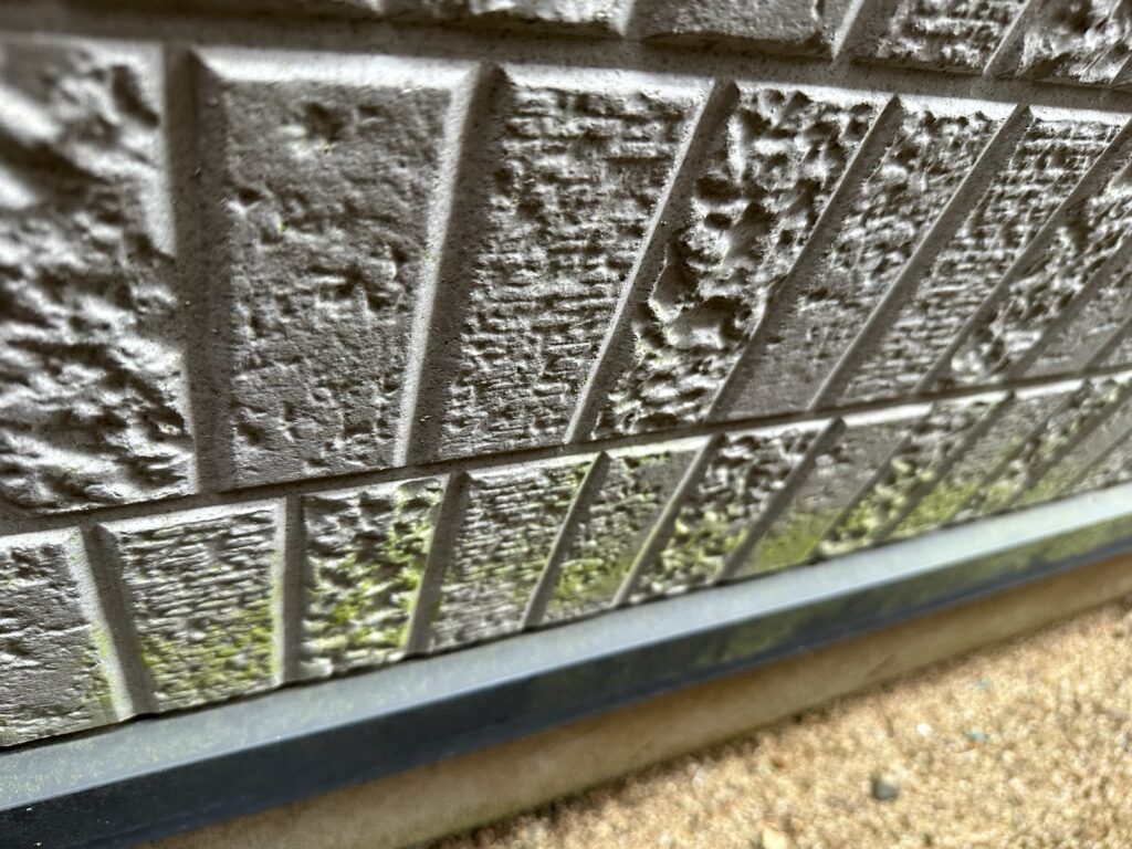 外壁コケ