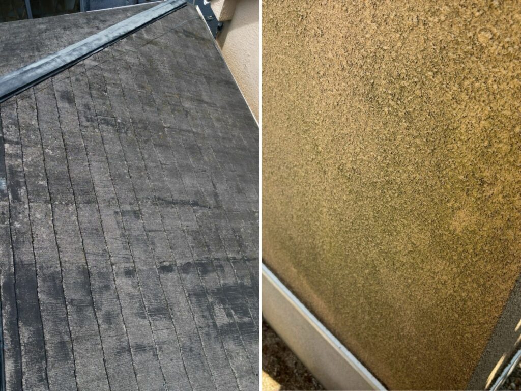 屋根外壁コケカビ
